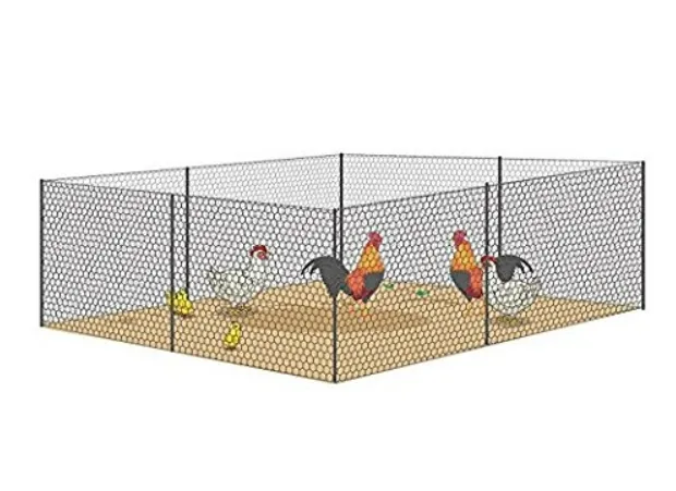 Poultry Galvanized Wire Mesh Cage