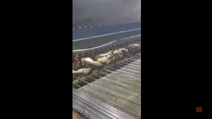 The Production Process Of 358 Anti-Climbing Fence