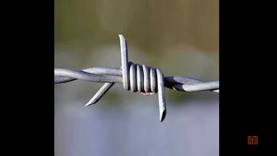 What Is Barbed Wire?