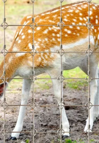 Impact-Resistant Large Livestock Protection Fence Cattle Fence