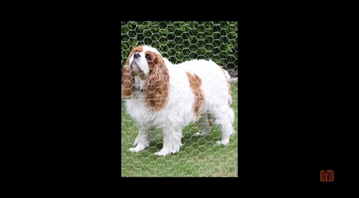 Mild Steel Hexagonal Mesh For Breeding Fence