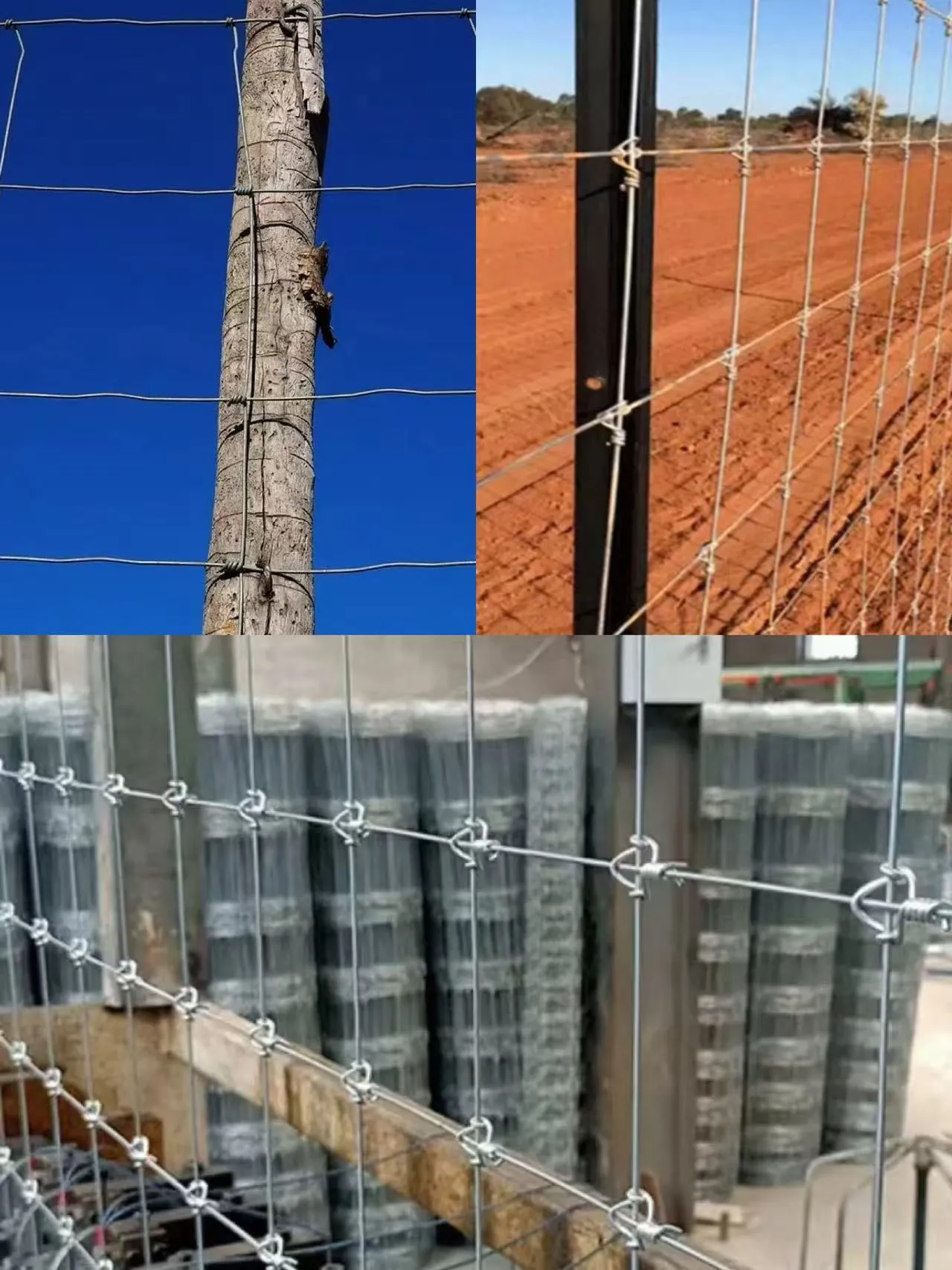 Heavy‑Duty Livestock Fencing for Cattle, Horse & Farm