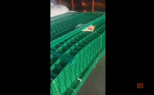 Finished Product Display Of Bilateral Wire Fence