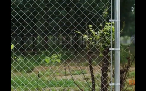 What Is Chain Link Fence?