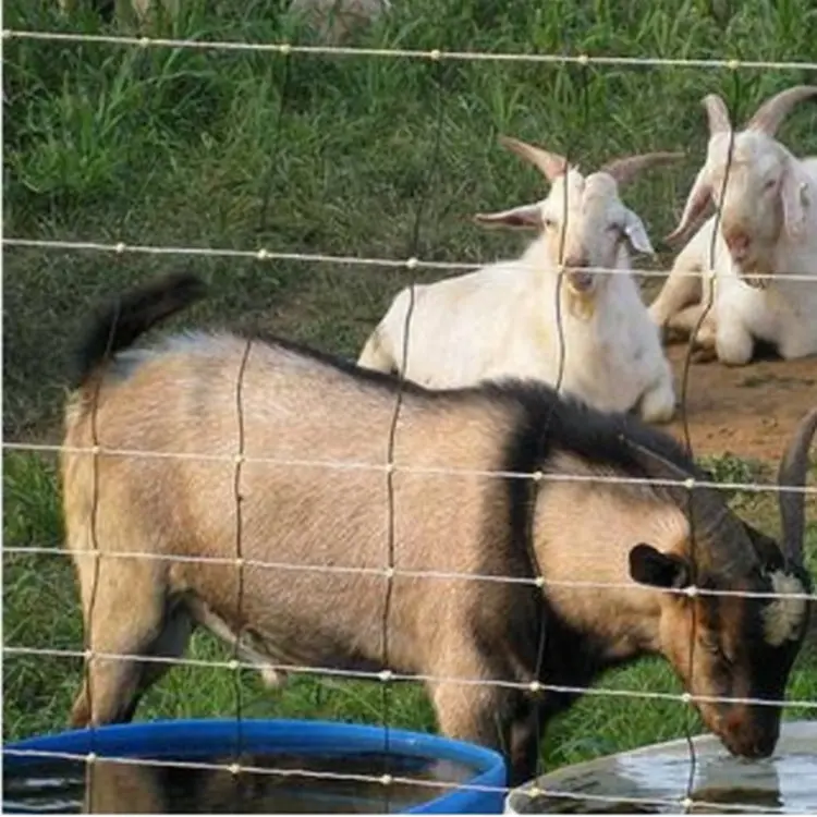 Weaving technology of cattle fence: creating a solid fence