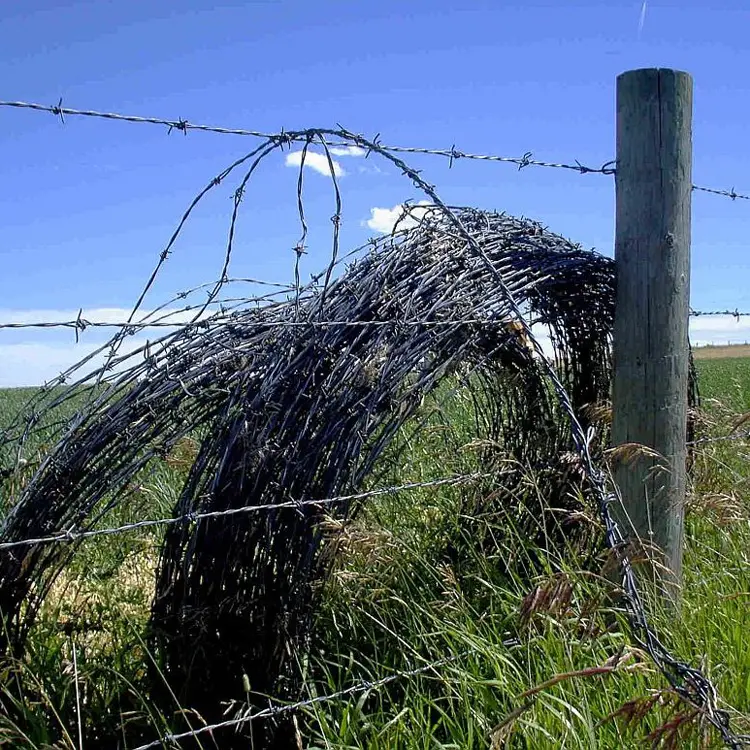 High quality barbed wire protection fence for american farm safety