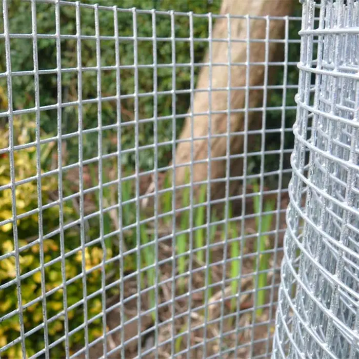 Customized Hot Dipped Galvanized Welded Wire Mesh For Garden Fence