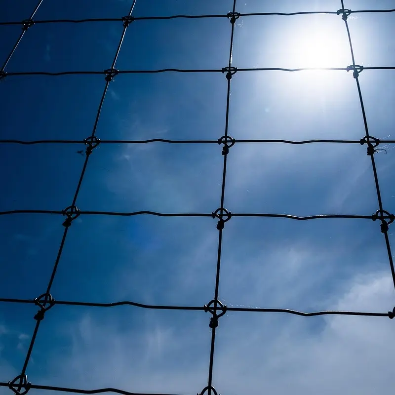 Analysis of the Multifunctional Application of Cattle Fences