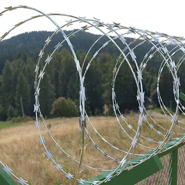 Razor Wire: GI, Anti-Corrosion, Bulk Supply—Ready to Buy?