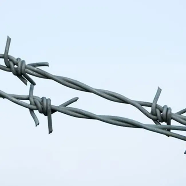 High quality Double Strand Barbed Wire Building Barbed Wire Fence
