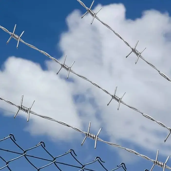 Customized barbed wire to create exclusive protection solutions