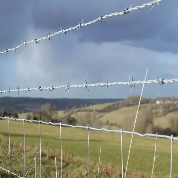 China Barbed Wire Mesh and barbed wire fence for farm