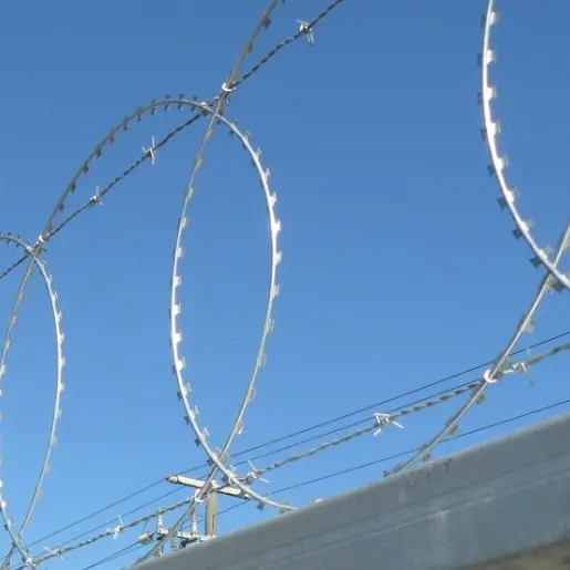 Razor Wire: GI, Anti-Corrosion, Bulk Supply—Ready to Buy?