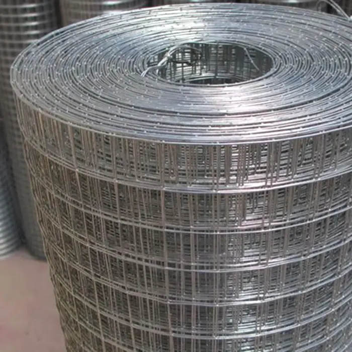 Hot Sale Bird Cage Welded Wire Mesh Roll/wire Mesh Fence
