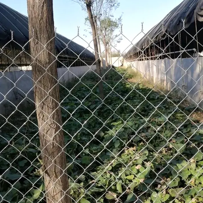 Industry Chain Link Fence Galvanized Diamond Outdoor Steel Fence