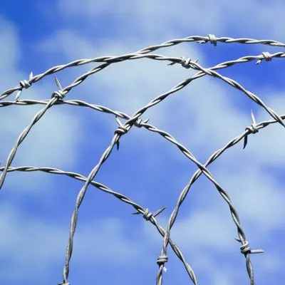 Wholesale Price High Quality Hot Dipped Galvanized Barbed Wire