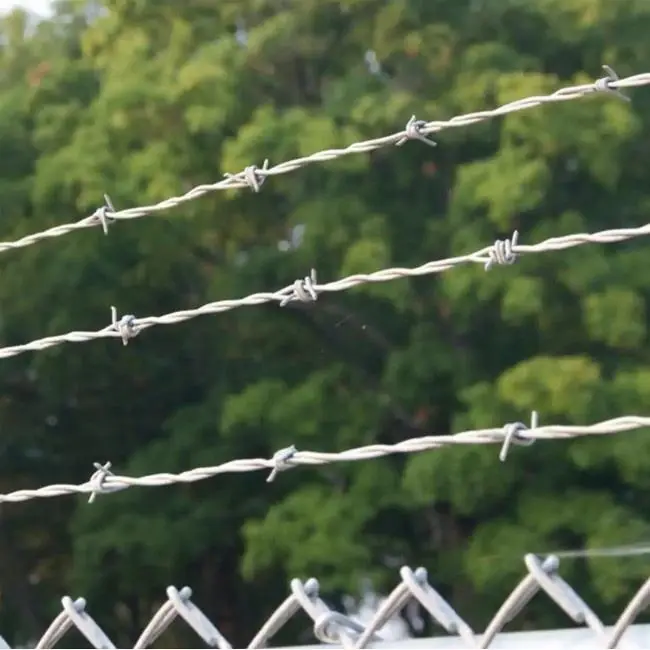 Do you know who invented barbed wire?
