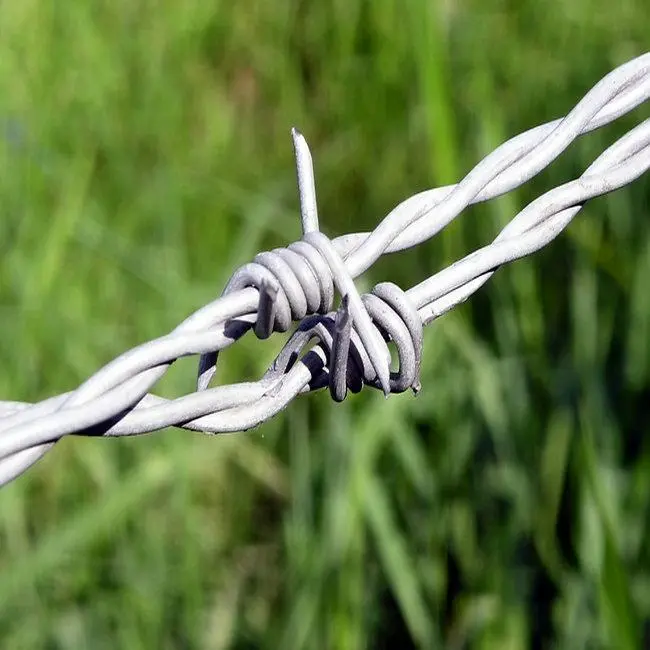 Single Strand galvanized Barbed Wire PVC coated 500m barbed wire Reverse Twist 10 gauge barbed wire