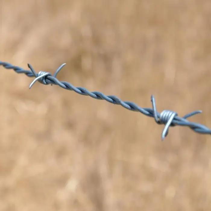 ODM Galvanized Barbed Wire Mesh Fence Roll for Security