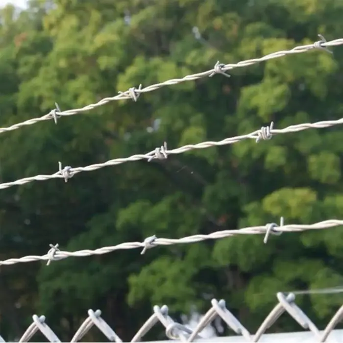 Anti-rust Hot Dip Galvanized  ODM Double Strand Barbed Wire