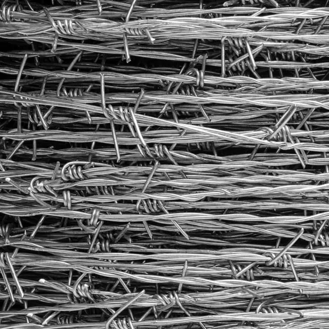 Electro-Galvanized Steel Concertina Razor Barbed Wire