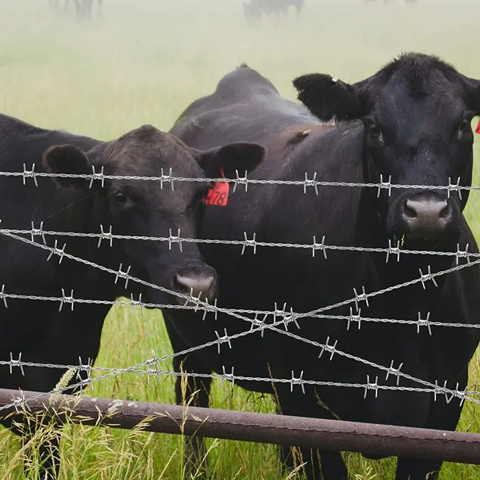 Good Quality Iron High Security Barbed Wire Farm Fence