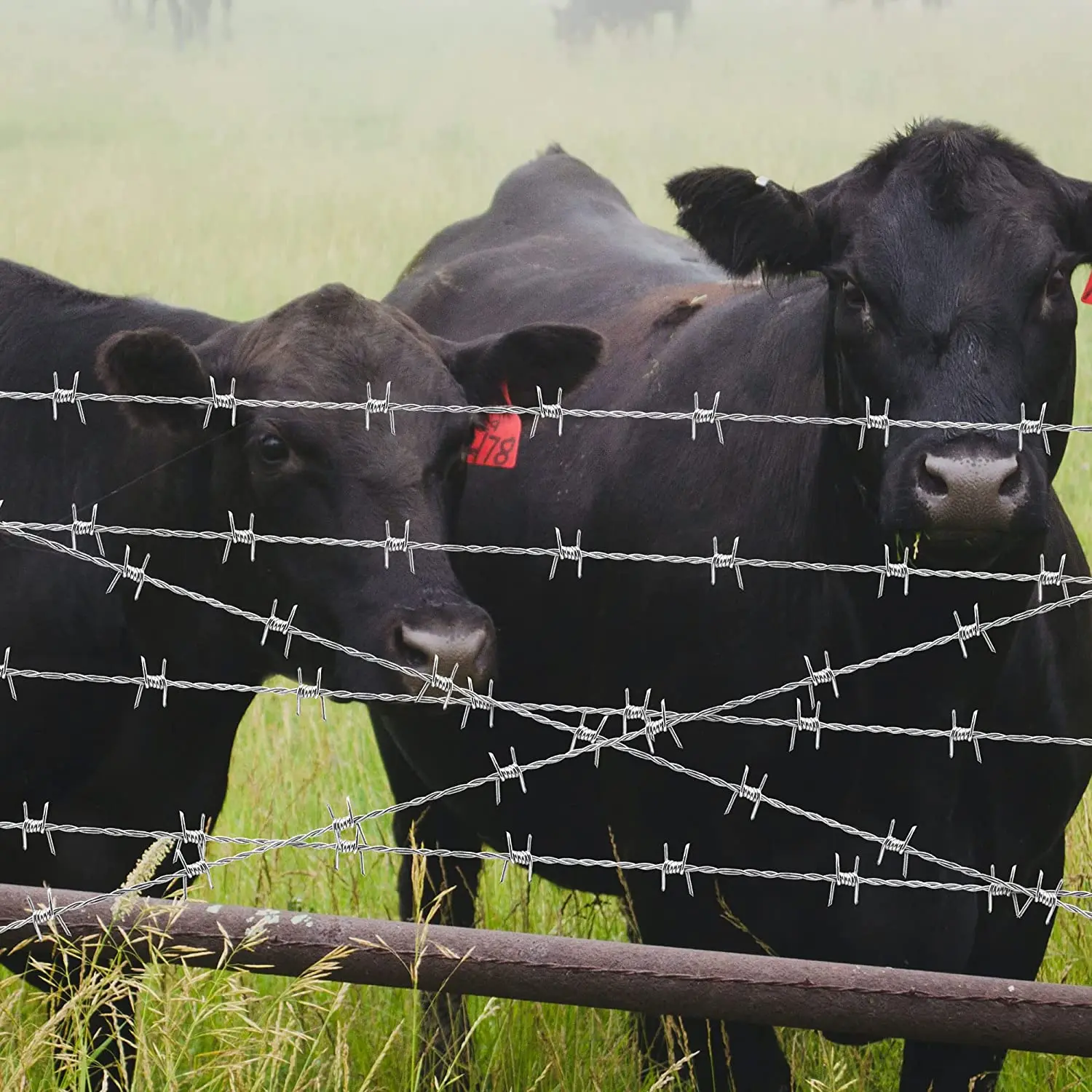 Factory customized low price galvanized barbed wire fence