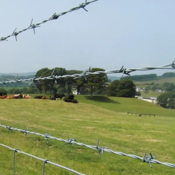 Diverse applications of barbed wire fences: all-round protection from agriculture to industry