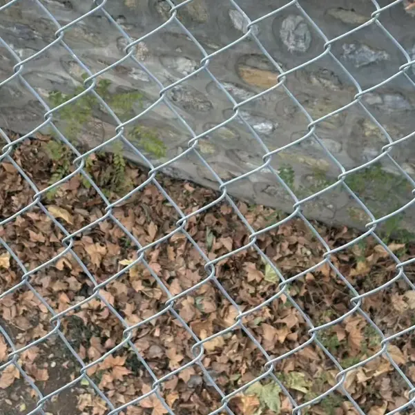 Chain link fence: protecting homes and beautifying the environment, dual functions