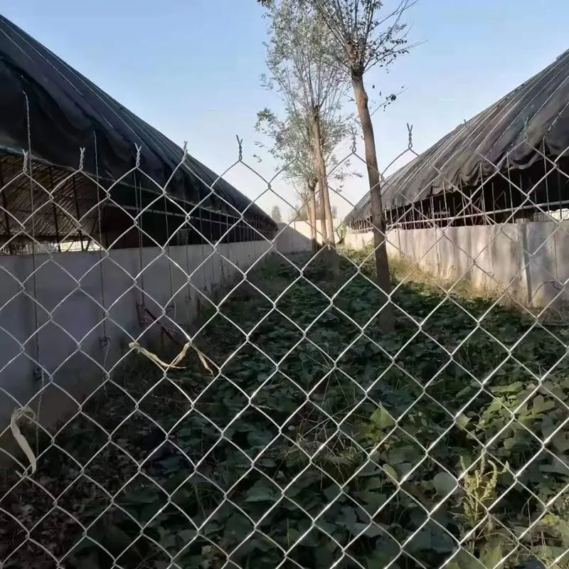 Fence supply heavy duty chain link fencing galvanized suitable for garden and security fencing