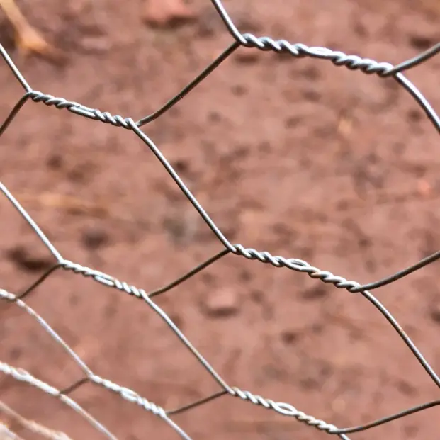 Safety of Hexagonal Fence