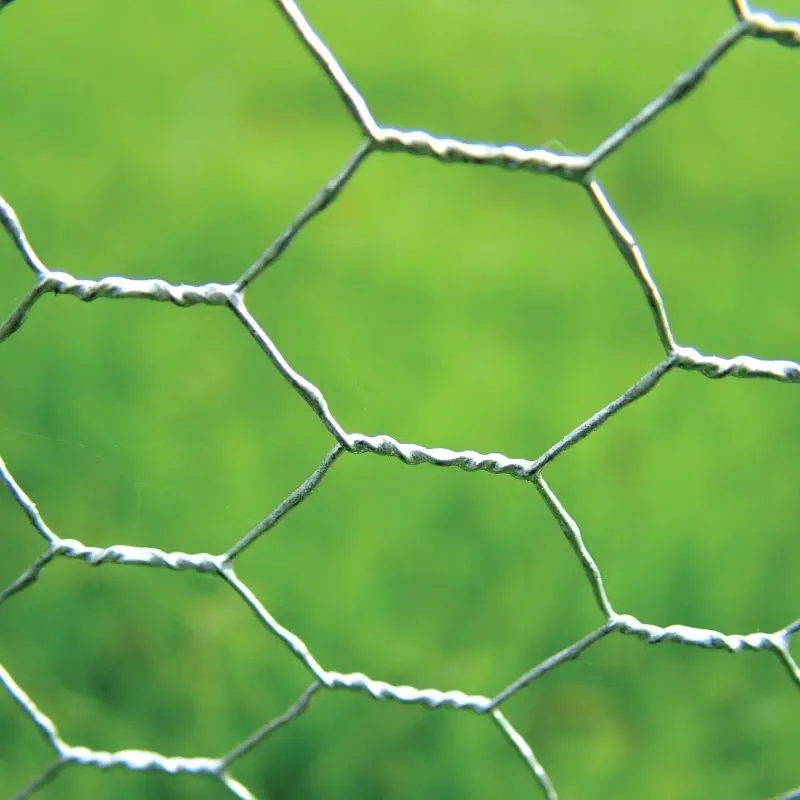 China Wire Mesh and Hexagonal Mesh chicken wire fence