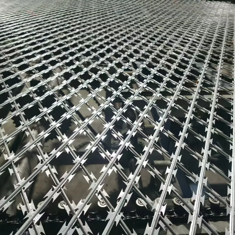 Fencing type razor barbed wire with high security protection