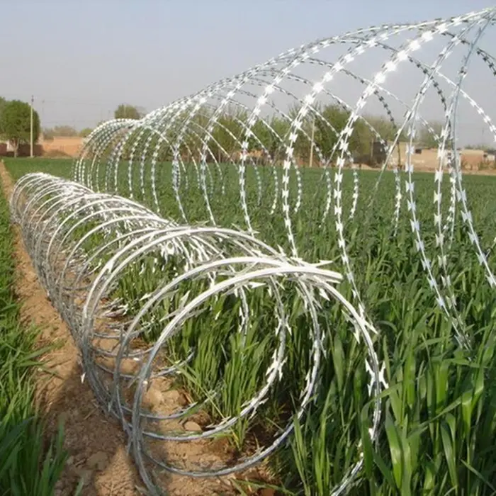 Anti-climbing Razor Wire Prison Fence Protective Net Safety Fence