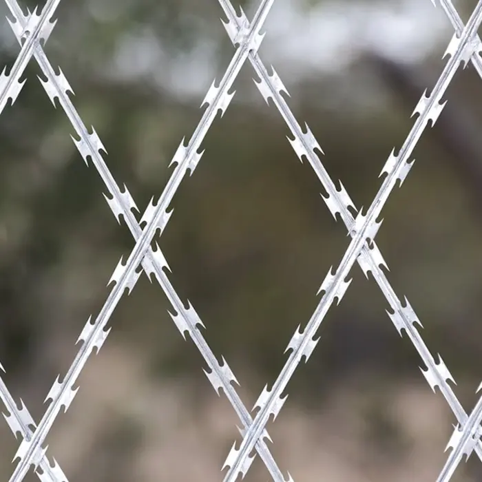 Bird Wire Mesh: Rustproof, Safe, Custom—Why Choose Us?