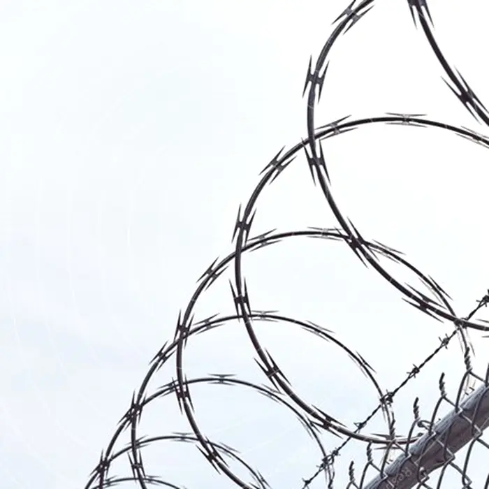500mm long service life razor barbed wire to prevent theft