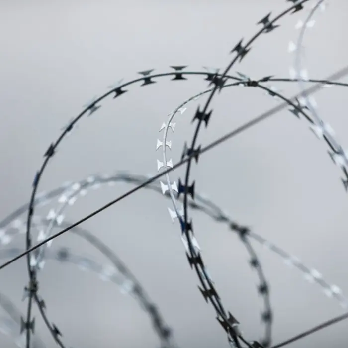 Concertina Wire Razor Wire Fencing Prison Security Wire Mesh