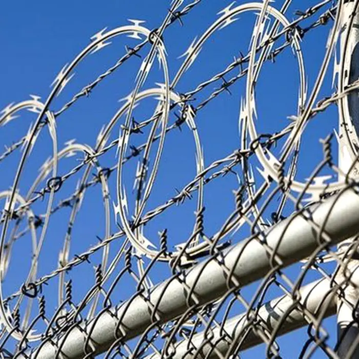 Factory Hot Sale Spiral Razor Wire BTO-22 Concertina Wire Coil Razor Barbed Wire for Prement Fence