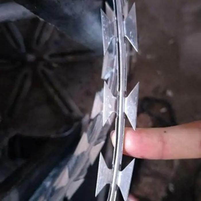 Hot Dipped Galvanized Razor Coil Wire Fencing