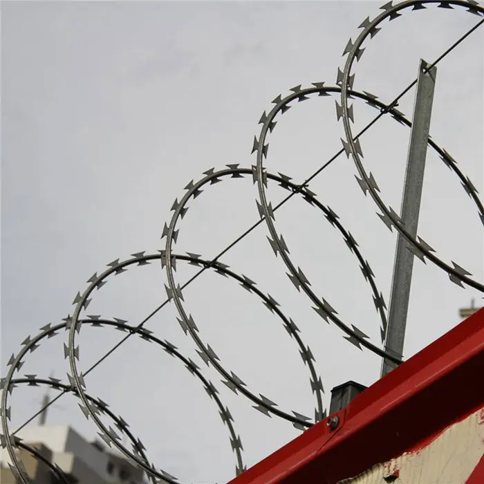 Analysis of the protection logic of razor barbed wire