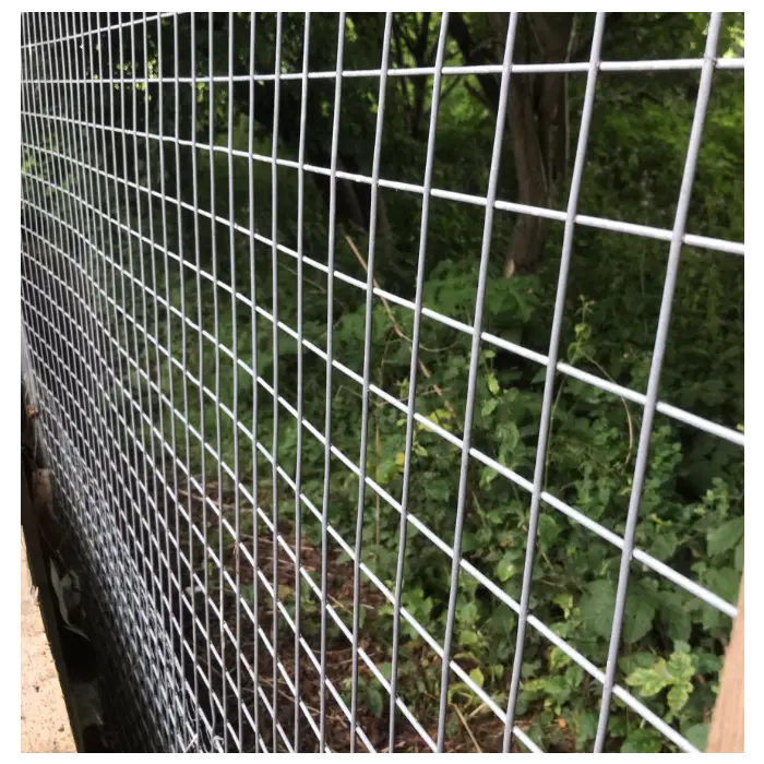 High-quality low-carbon steel wire welded mesh