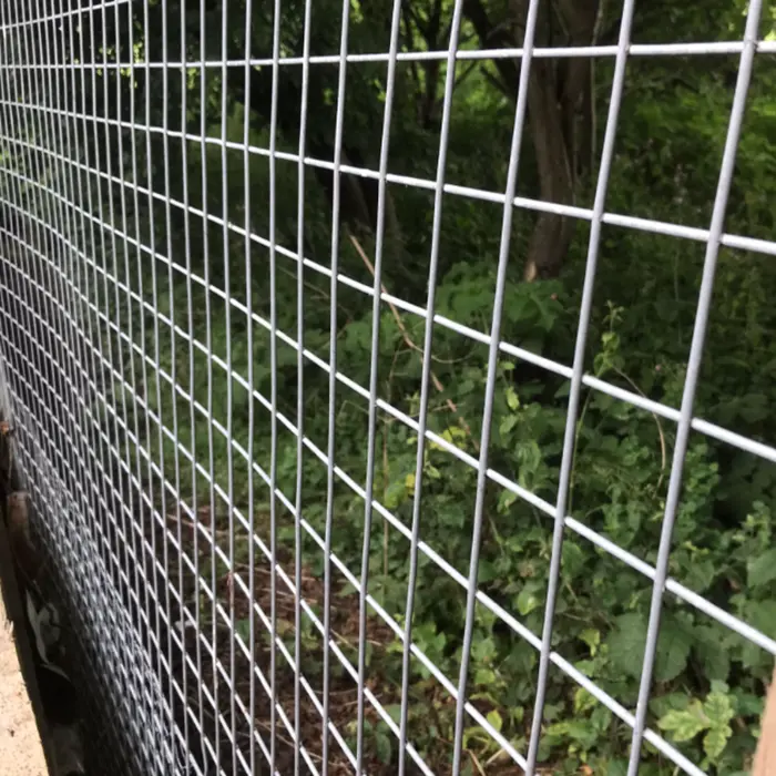 Green Color PVC Coated Galvanized Welded Wire Mesh