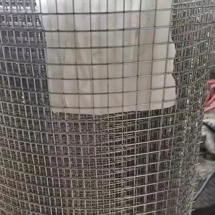 Factory customized galvanized welded wire mesh