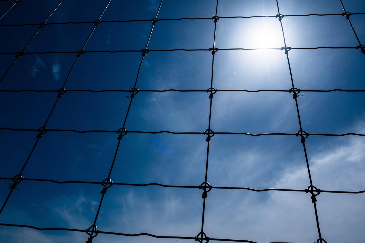 Analysis of the Multifunctional Application of Cattle Fences