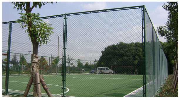 Why do sports venues need to be equipped with sports net fences?