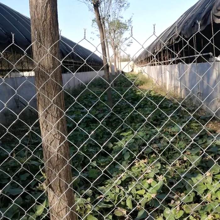 Introduction to chain link fence