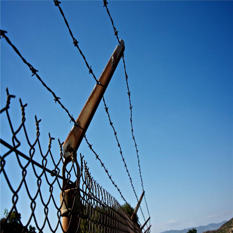 ss barbed wire