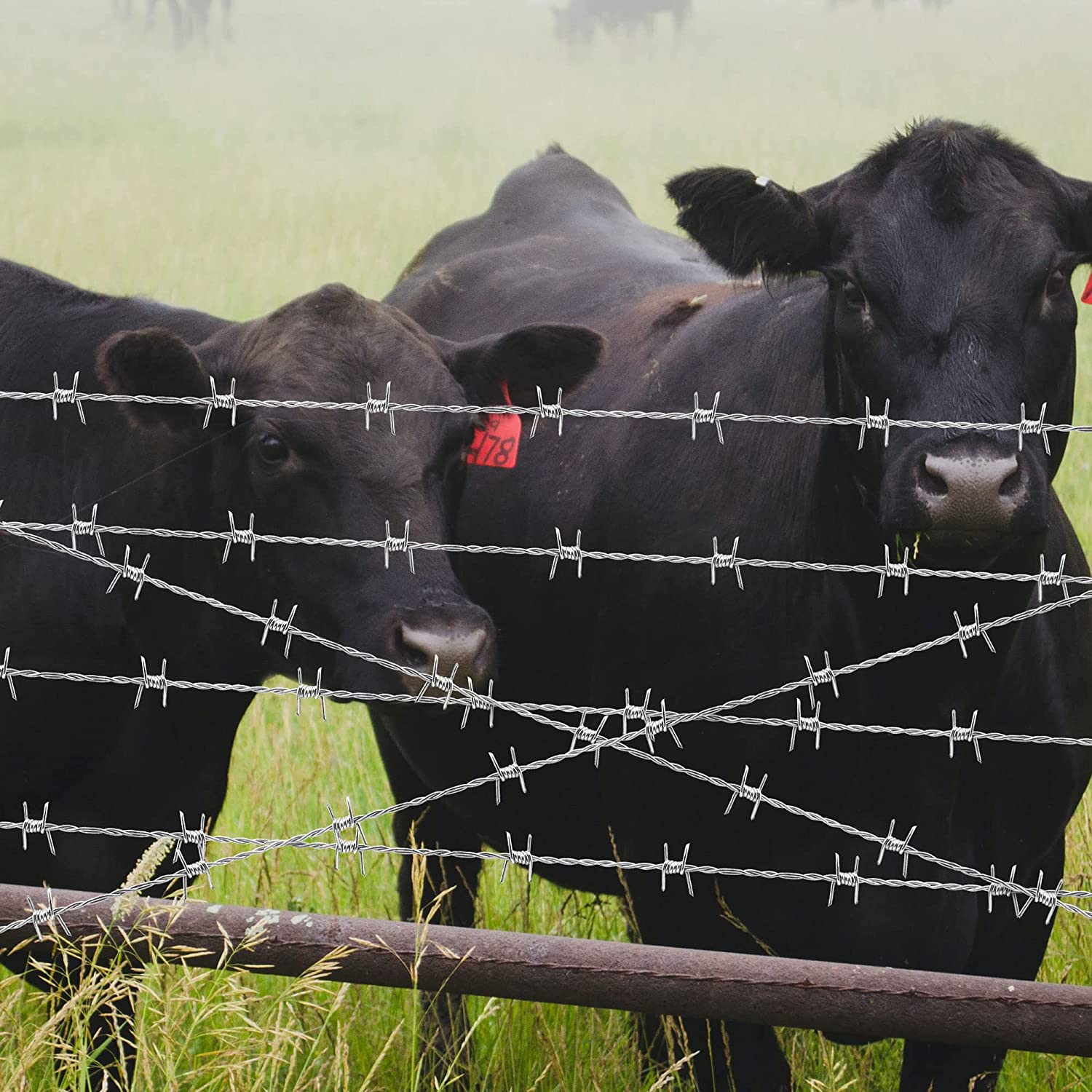The main 4 functions of barbed wire