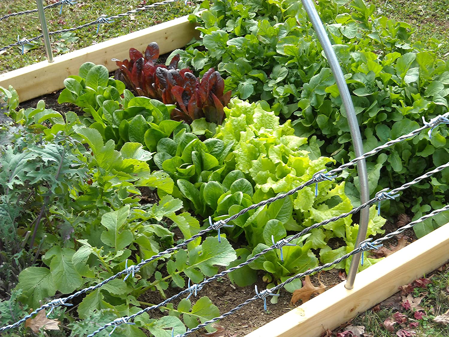 The main 4 functions of barbed wire