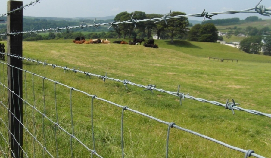Diverse applications of barbed wire fences: all-round protection from agriculture to industry